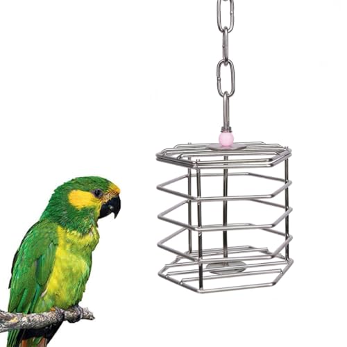 ZYYRSS Vogelfutterspender aus Edelstahl, Futterkäfig, Futterbehälter, hängendes Kauspielzeug für Sittiche, Nymphensittiche, Sittiche, Aras ZYYRSS Vogelfutterspender aus Edelstahl, Futterkäfig, Futterbehälter, hängendes Kauspielzeug für Sittiche, Nymphensittiche, Sittiche, Aras von ZYYRSS