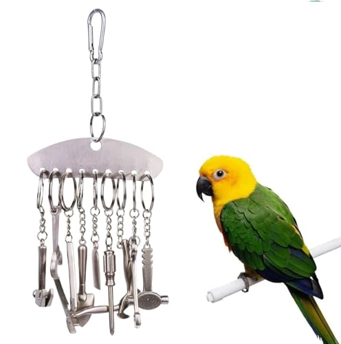 ZYYRSS Vogelglocke aus Edelstahl, Vogelkäfigspielzeug für Papageien, interaktives Erkundungsspiel, Langeweile Linderung Vogelspiel für kleine Kakadus von ZYYRSS