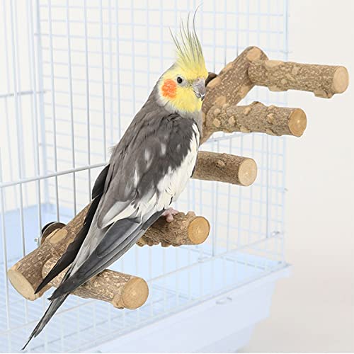 ZYYRSS Vogelleiter aus Holz, Papageien-Sitzstange für Käfig, Leiter, Naturholzständer für Vögel, Vogelkäfig-Zubehör für Papageien, Sittiche, Nymphensittiche, Sittiche, Sittiche, Sittiche, Sittiche von ZYYRSS