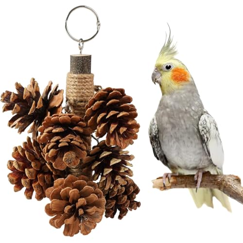 ZYYRSS Vogelspielzeug für Papageien, Holzpapageienspielzeug, natürliche Tannenzapfen, Kauspielzeug mit 8 Tannenzapfen, hängbar, Vogelkäfig-Spielzeug für Sittiche, afrikanische graue Amazon-Papageien ZYYRSS Vogelspielzeug für Papageien, Holzpapageienspielzeug, natürliche Tannenzapfen, Kauspielzeug mit 8 Tannenzapfen, hängbar, Vogelkäfig-Spielzeug für Sittiche, afrikanische graue Amazon-Papageien von ZYYRSS