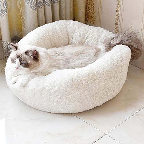 Katzenbett Waschbar Flauschig Weiß Hundebett Donut Gemütliches Haustierbett Waschbar, Soothing Bed Dog(50cm) von ZZDXL