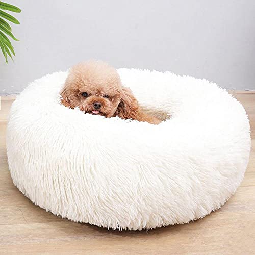 Katzenbett Waschbar Flauschig Weiß Hundebett Donut Gemütliches Haustierbett Waschbar, Soothing Bed Dog(50cm) von ZZDXL