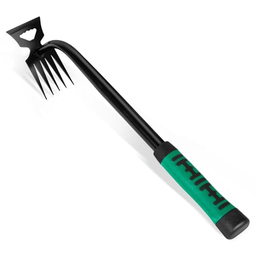 ZZLLKQ Unkraut Entferner Gerät Edelstahl, Unkrautjäter Verbesserte Gartenarbeit Hand Unkrautstecher, Fugenkratzer Mit Stiel Gartenwerkzeug Unkrautentferner (Grün) von ZZLLKQ