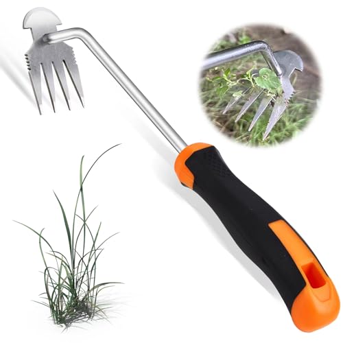 ZZLLKQ Unkraut Entferner Gerät Edelstahl, Unkrautjäter Verbesserte Gartenarbeit Hand Unkrautstecher, Fugenkratzer Mit Stiel Gartenwerkzeug Unkrautentferner (Orange) von ZZLLKQ