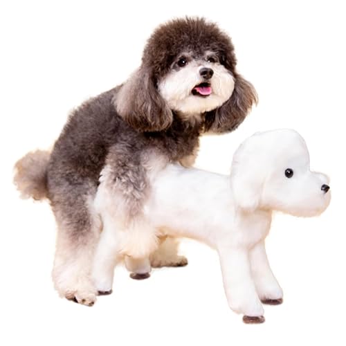 ZZYYZZ Haustier-Partnerspielzeug, interaktives Plüsch-Quietschspielzeug für Hunde, Brunstspielzeug für männliche Hunde, langlebiges Hundespielzeug mit Füllung,13cm / 5.1inch von ZZYYZZ