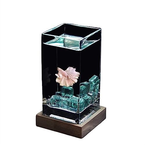 Fischschale Aquarium, quadratisch, hochtransluzent, Kampffischbecken mit Holzsockel, tropisches Aquarium, verdicktes Glas, Desktop-kleines Aquarium Aquarium für(Blue) von ZZlei2yu-12