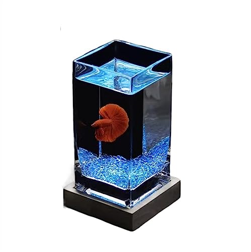 Fischschale Aquarium, quadratisch, hochtransluzent, Kampffischbecken mit Holzsockel, tropisches Aquarium, verdicktes Glas, Desktop-kleines Aquarium Aquarium für(Blue02) von ZZlei2yu-12