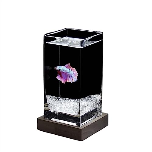 Fischschale Aquarium, quadratisch, hochtransluzent, Kampffischbecken mit Holzsockel, tropisches Aquarium, verdicktes Glas, Desktop-kleines Aquarium Aquarium für(White02) von ZZlei2yu-12