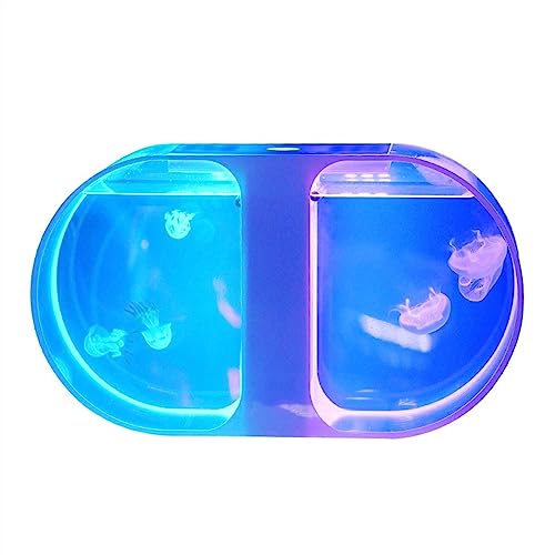 Fischschale Aquarium Bilaterales Quallenbecken Desktop-Aquarium Aquarium Kleines Quallenbecken Zierfischbecken Büroaquarium Heimdekoration Aquarium für von ZZlei2yu-12