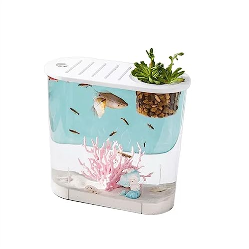 Fischschale Aquarium Kleines Mikro-Landschaftsfischbecken Transparentes großes ökologisches Aquarium for zu Hause mit Deckel Desktop Oval kann mit Wasserpflanzen bepflanzt Werden Aquarium für(Groß) von ZZlei2yu-12