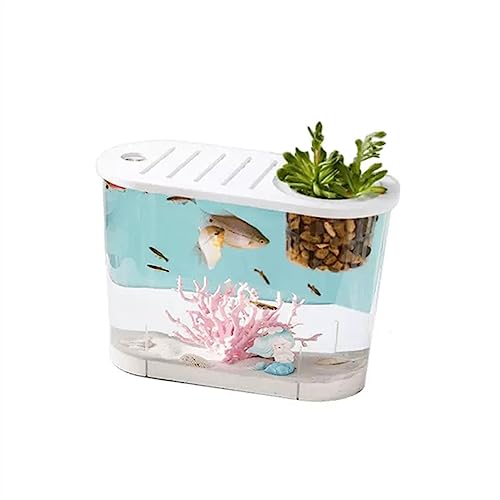 Fischschale Aquarium Kleines Mikro-Landschaftsfischbecken Transparentes großes ökologisches Aquarium for zu Hause mit Deckel Desktop Oval kann mit Wasserpflanzen bepflanzt Werden Aquarium für(Klein) von ZZlei2yu-12