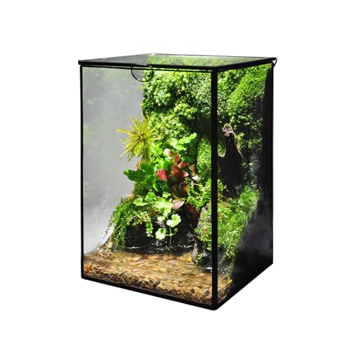 Glas-Pflanzen-Terrarium mit Deckel (14 x 14 x 21 cm) für kleine Pflanzen, Sukkulenten, Moos, Farne, kleines Gewächshaus, geometrische Landschaft, Terrarium, Pflanzgefäß von Zaborik
