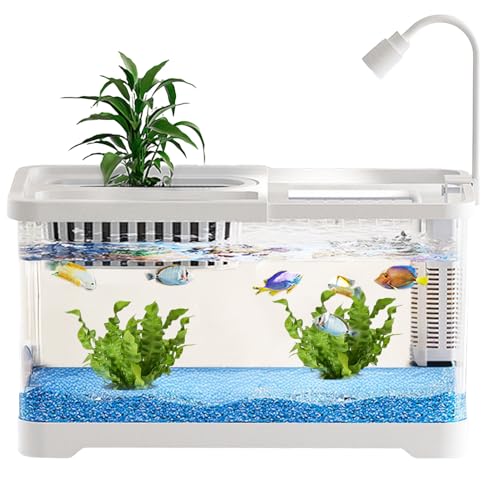 Zahoken Kampffisch Aquarien - Kampffisch Landschaft Aquarium Komplettset | Futterschalen Deko für Schnecken Wohnung Zimmer Schreibtisch Zahoken Kampffisch Aquarien - Kampffisch Landschaft Aquarium Komplettset | Futterschalen Deko für Schnecken Wohnung Zimmer Schreibtisch von Zahoken