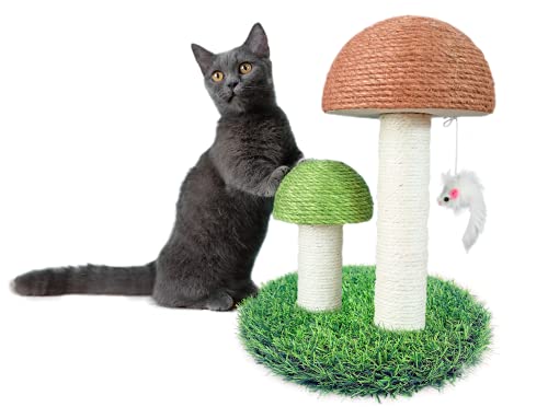 ZaneSun Katzenkratzbaum, Pilz-Kratzbaum für Kätzchen und kleine Katzen, natürlicher Sisal-Kratzbaum für Indoor-Katzen (Pilz) von ZaneSun