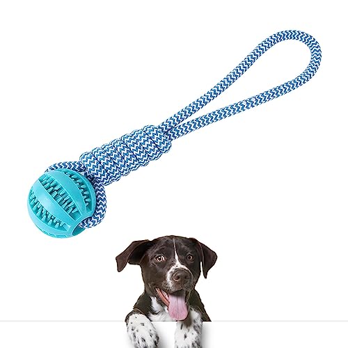 Zaphara Bran Training Hundespielzeug, Schleifen, Essen, Jagen, Kauen, Ballfangen mit Seil(Blau) von Zaphara