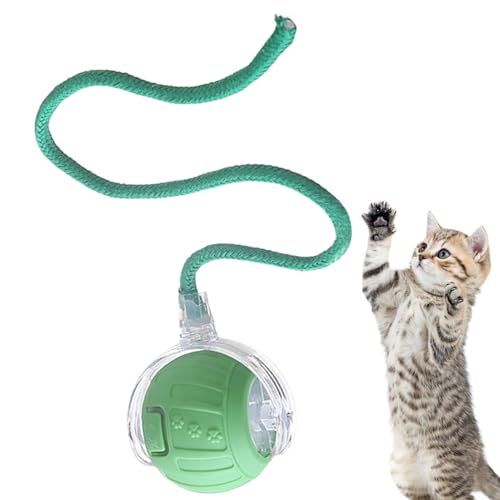 Zasdvn Interaktiver Katzenball,Automatisches Katzenspielzeug - Elektrischer Intelligenter Ball Mit Schwanzseil Zur Jagdsimulation & Langeweile-Reduktion Bei Kitten Zasdvn Interaktiver Katzenball,Automatisches Katzenspielzeug - Elektrischer Intelligenter Ball Mit Schwanzseil Zur Jagdsimulation & Langeweile-Reduktion Bei Kitten von Zasdvn