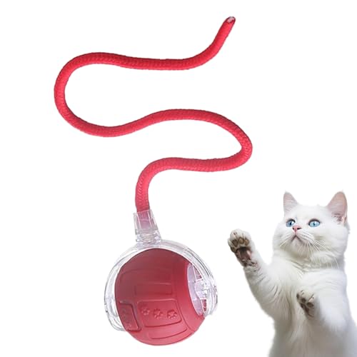 Zasdvn Katzen Spielball | Automatisch Rollendes Katzenspielzeug Zur Aktivierung,Elektrischer Intelligenter Ball Mit Schwanzseil Zur Jagdsimulation & Langeweile-Reduktion Bei Kitten Zasdvn Katzen Spielball | Automatisch Rollendes Katzenspielzeug Zur Aktivierung,Elektrischer Intelligenter Ball Mit Schwanzseil Zur Jagdsimulation & Langeweile-Reduktion Bei Kitten von Zasdvn
