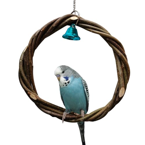 Zasdvn Papageienschaukelspielzeug | Vogelkäfigspielzeug aus mit Glocke – Vogelspielzeug, Papageienspielzeug, Kauen Stehstange für Lovebirds, Aras, Finken, Sittiche, Conures Zasdvn Papageienschaukelspielzeug | Vogelkäfigspielzeug aus mit Glocke – Vogelspielzeug, Papageienspielzeug, Kauen Stehstange für Lovebirds, Aras, Finken, Sittiche, Conures von Zasdvn