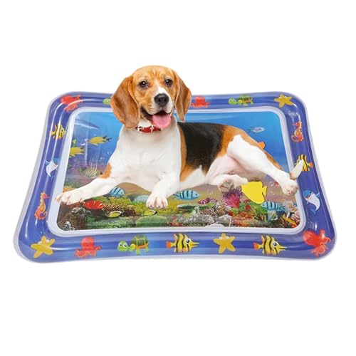 Zasdvn Sensorische Wasserspielmatte Für Katzen, Wasserspielmatte Für Katzen, Sensorische Wasser Spielmatte, Wassermatte Für Katze Und Hund, Verdickte Wassersensormatte Für Kinder, Baby Spielzeuge Zasdvn Sensorische Wasserspielmatte Für Katzen, Wasserspielmatte Für Katzen, Sensorische Wasser Spielmatte, Wassermatte Für Katze Und Hund, Verdickte Wassersensormatte Für Kinder, Baby Spielzeuge von Zasdvn