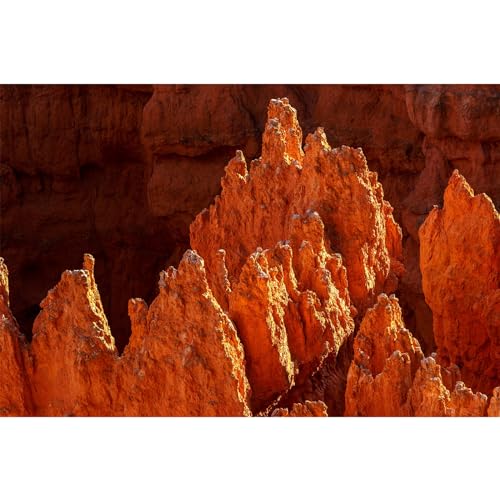 ZatiasMiller Hintergrund für Reptilien, Rote Felsformationen, Terrarium, Hintergrund, Sonnenuntergang, Hoodoos, Aquarium-Hintergrund, Fisch, Spinne, Eidechse, Aquarium-Dekoration, Vinyl, 91,4 x 61 cm ZatiasMiller Hintergrund für Reptilien, Rote Felsformationen, Terrarium, Hintergrund, Sonnenuntergang, Hoodoos, Aquarium-Hintergrund, Fisch, Spinne, Eidechse, Aquarium-Dekoration, Vinyl, 91,4 x 61 cm von ZatiasMiller