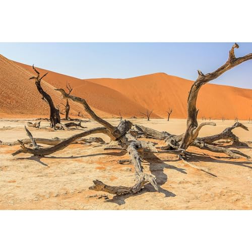 ZatiasMiller Hintergrund für Terrarium, Sonne und Wüstenterrarium, Blau, Orange, Sand, Reptilien-Lebensraum, erstaunlicher toter Baum, Aquarium-Dekoration, Hintergrund, strapazierfähiges ZatiasMiller Hintergrund für Terrarium, Sonne und Wüstenterrarium, Blau, Orange, Sand, Reptilien-Lebensraum, erstaunlicher toter Baum, Aquarium-Dekoration, Hintergrund, strapazierfähiges von ZatiasMiller