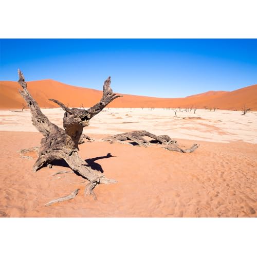 ZatiasMiller Hintergrund für Wüstenreptilien, Sand mit totem Baum, Terrarium, Hintergrund, blauer Himmel, Naturlandschaft, Aquarium-Hintergrund, Dekoration, Vinyl für Zuhause, 76,2 x 30,5 cm ZatiasMiller Hintergrund für Wüstenreptilien, Sand mit totem Baum, Terrarium, Hintergrund, blauer Himmel, Naturlandschaft, Aquarium-Hintergrund, Dekoration, Vinyl für Zuhause, 76,2 x 30,5 cm von ZatiasMiller