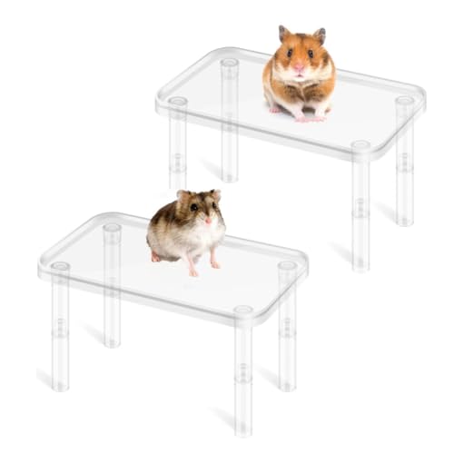 Hamsterplattform, Kunststoff, für Kleintiere, höhenverstellbar, transparent, Hamsterkäfig-Spielzeug, Zubehör für Meerschweinchen, Rennmäuse, Chinchilla (transparent), 2 Stück von Zayejod