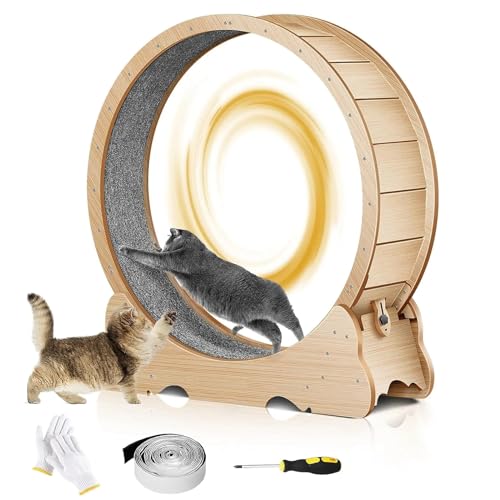 Katzen-Laufrad für Hauskatzen, Laufräder für Katzen, einfach zu montierendes Laufband für Katzen mit feststellbarem Katzenspielzeug, extrem leises Laufen für die Gesundheit der Katze von ZbOLi
