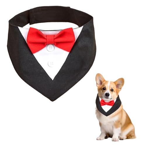 Hundehalstuch & Hundekostüm Set - Halstuch Hund for Hund Geburtstag, Dog Bandana with Bow Tie, Suitable for Hundegeburtstag & Pet Parties (L) von Zcbzbn