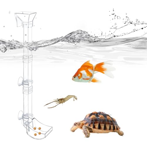 Zceplem Garnelen-Futternapf – Garnelen-Futternapf-Set, transparentes Aquarium, Garnelen-Futterstation und Futternapf-Set für Garnelen, Fische und Schnecken von Zceplem
