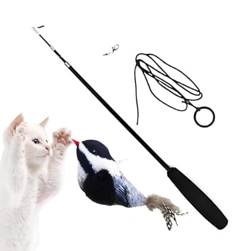Zceplem Katzen-Teaser - Vogelfederspielzeug für Katzen,Interaktives Katzen-Teaser-Entwicklungsspielzeug für Haustiere, Kätzchen, Welpen von Zceplem