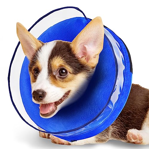 Zeaxuie Weiches, aufblasbares Hundehalsband, für Hunde nach Operationen, mit verbessertem Anti-Lecking für uneingeschränkte Nutzung im täglichen Leben, 1 Stück (Medium) von Zeaxuie