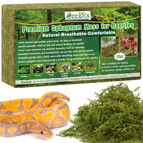 ZeeDix 340g Terrarienmoos für Reptilien - Natürliches Moosstreu für Leopardgeckos, Echsen, Schlangen, Schildkröten & Frösche, Sicher für Pflanzen & Tiere von ZeeDix