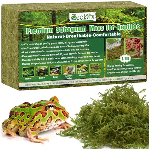 ZeeDix 500g Natürlich Terrarienmoos für Terrarium, Moos für Geckos Echsen Schlangen Schildkröten Frösche Sicher für Pflanzen Tiere von ZeeDix