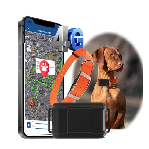 Zeerkeer 4G GPS Hunde Jagdhund Tracker Ohne ABO Weltweite Live-Ortung Wasserdicht Hund Halsbänder mit Haustiersuche durch Licht/Ton & Smart Activity Tracking Gerät für mittelgroßer bis großer Hund Zeerkeer 4G GPS Hunde Jagdhund Tracker Ohne ABO Weltweite Live-Ortung Wasserdicht Hund Halsbänder mit Haustiersuche durch Licht/Ton & Smart Activity Tracking Gerät für mittelgroßer bis großer Hund von Zeerkeer