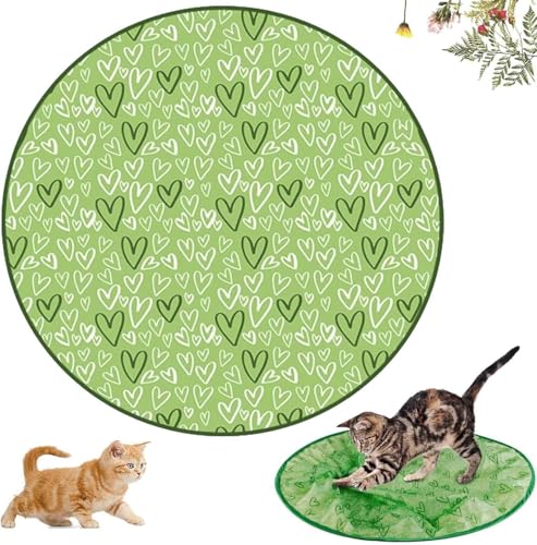 ZeiLaBang Kakadi Interaktives Jagdkatzenspielzeug,Katzen Spielteppich,Katzenspielzeug Katzenmatte,Jagd Katze Matte Spielzeug,Interaktive Trainingsmatte für Stimuliert Den Jagdinstinkt von ZeiLaBang Kakadi