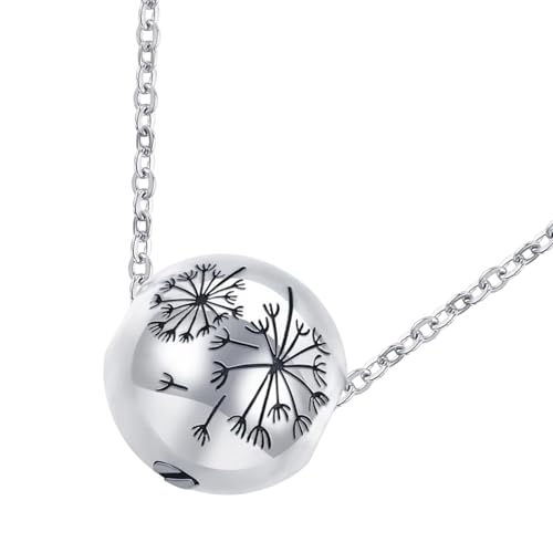 Zeiwohndc Halskette Asche Gefäß Asche Halskette Für Haustier Urne Entlang Halskette Locket Urnenbehälter Zeiwohndc Halskette Asche Gefäß Asche Halskette Für Haustier Urne Entlang Halskette Locket Urnenbehälter von Zeiwohndc