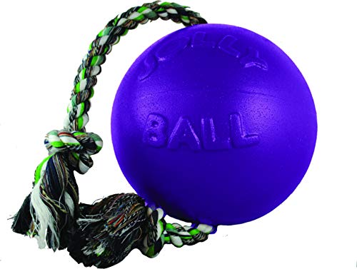 Zen-Kat Jolly Ball Romp-n-Roll 10 cm Violett von Jolly Pets