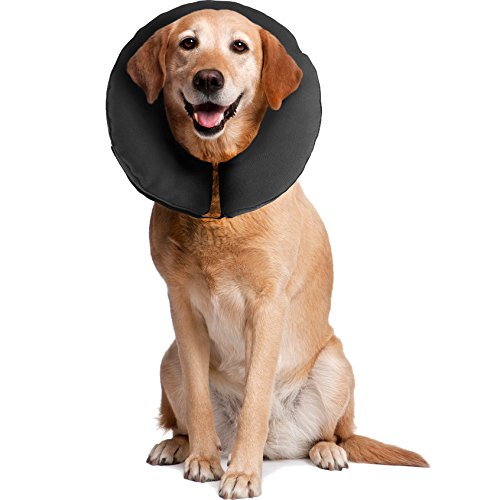 ZenPet Pro Collar Comfy E-Halsband für Hunde, Größe XL von ZenPet
