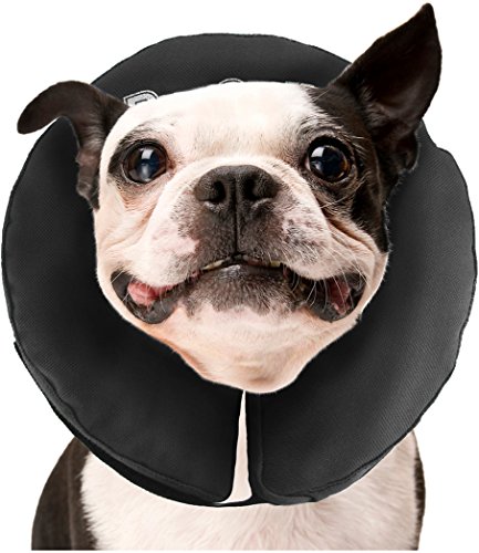 ZenPet Pro Collar Comfy E-Halsband für Hunde, Größe M von ZenPet