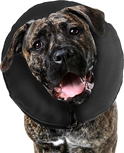 ZenPet Pro Collar Comfy Pet E-Collar for Dogs XX-Large von ZenPet