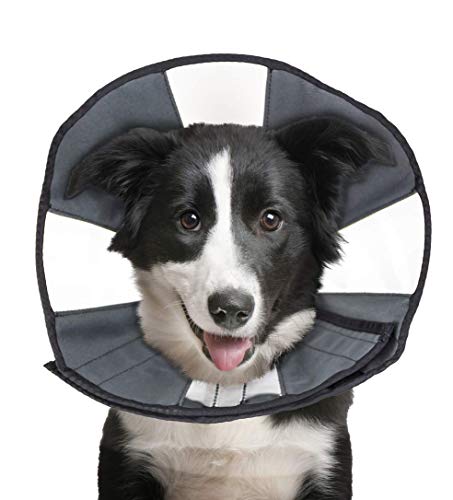ZenPet ProCone Pet E-Collar for Dogs and Cats - Comfortable Soft Recovery Collar is Adjustable for a Secure and Custom Fit - Easy for Pets to Eat and Drink - Works with Your Pet's Collar - Large ZenPet ProCone Pet E-Collar for Dogs and Cats - Comfortable Soft Recovery Collar is Adjustable for a Secure and Custom Fit - Easy for Pets to Eat and Drink - Works with Your Pet's Collar - Large von ZenPet