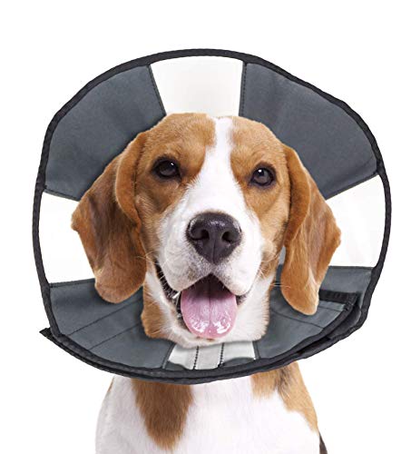 ZenPet ProCone Pet E-Collar for Dogs and Cats - Comfortable Soft Recovery Collar is Adjustable for a Secure and Custom Fit - Easy for Pets to Eat and Drink - Works with Your Pet's Collar - Medium ZenPet ProCone Pet E-Collar for Dogs and Cats - Comfortable Soft Recovery Collar is Adjustable for a Secure and Custom Fit - Easy for Pets to Eat and Drink - Works with Your Pet's Collar - Medium von ZenPet