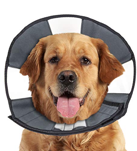 ZenPet ProCone Pet E-Collar for Dogs and Cats - Comfortable Soft Recovery Collar is Adjustable for a Secure and Custom Fit - Easy for Pets to Eat and Drink - Works with Your Pet's Collar - X-Large ZenPet ProCone Pet E-Collar for Dogs and Cats - Comfortable Soft Recovery Collar is Adjustable for a Secure and Custom Fit - Easy for Pets to Eat and Drink - Works with Your Pet's Collar - X-Large von ZenPet