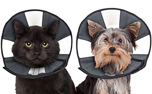 ZenPet Procone S von ZenPet