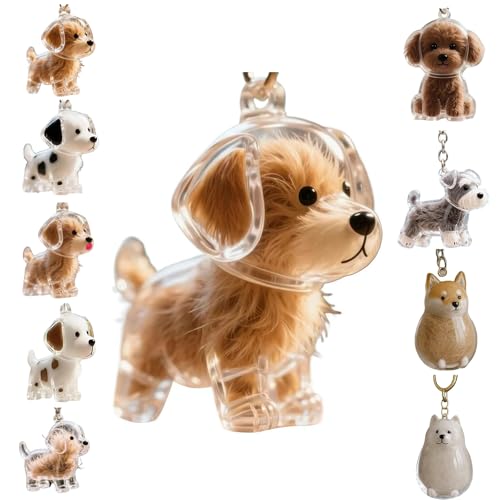Zengjunwei Hundehaar Sammler Schlüsselanhänger Charme Memorial Storage Box, Haustier Haar Lagerung Schlüsselanhänger,Haustier Katze Hund Haar Lagerung Fall für Tierhalter (A) von Zengjunwei