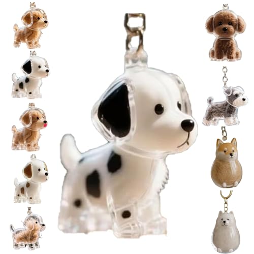 Zengjunwei Hundehaar Sammler Schlüsselanhänger Charme Memorial Storage Box, Haustier Haar Lagerung Schlüsselanhänger,Haustier Katze Hund Haar Lagerung Fall für Tierhalter (B) von Zengjunwei