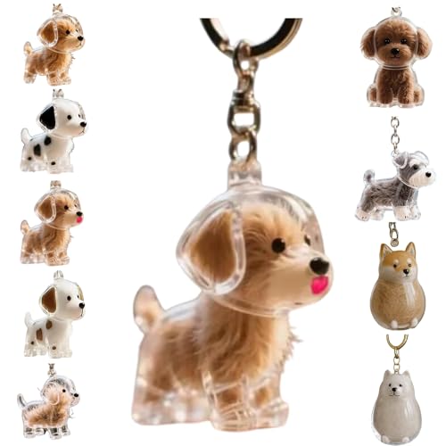 Zengjunwei Hundehaar Sammler Schlüsselanhänger Charme Memorial Storage Box, Haustier Haar Lagerung Schlüsselanhänger,Haustier Katze Hund Haar Lagerung Fall für Tierhalter (C) von Zengjunwei