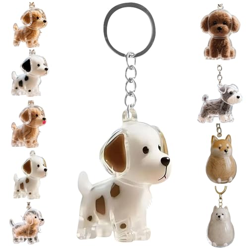 Zengjunwei Hundehaar Sammler Schlüsselanhänger Charme Memorial Storage Box, Haustier Haar Lagerung Schlüsselanhänger,Haustier Katze Hund Haar Lagerung Fall für Tierhalter (D) von Zengjunwei