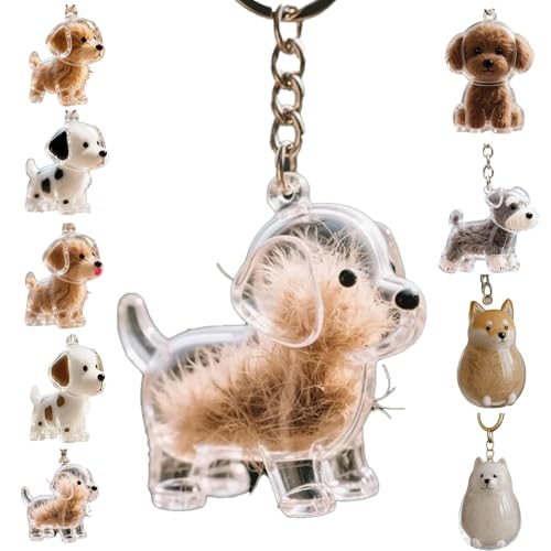 Zengjunwei Hundehaar Sammler Schlüsselanhänger Charme Memorial Storage Box, Haustier Haar Lagerung Schlüsselanhänger,Haustier Katze Hund Haar Lagerung Fall für Tierhalter (E) von Zengjunwei